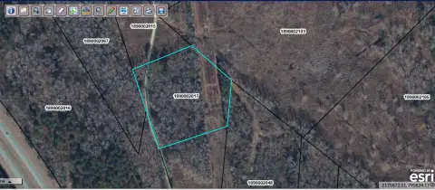 Wooded Residential Acreage Tract