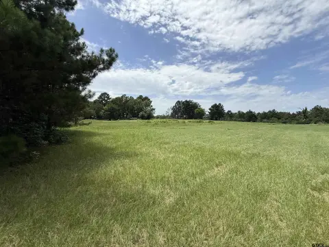 Rural Acreage with Paved Road Frontage