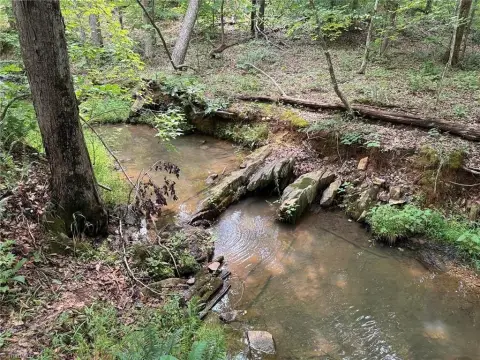 Recreational Timber Land Tract