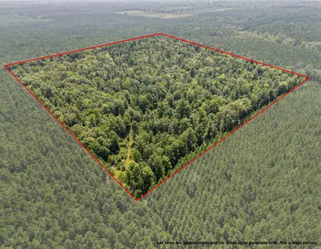 Sheridan, AR Hunting Land