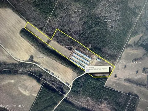 Tier 4 Poultry Farm