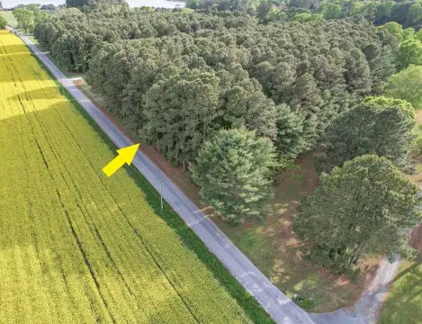 Wooded Lot Near Cape Charles