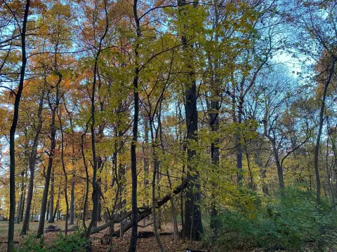 Land with Lake Access