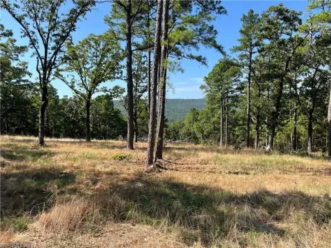 Recreation Land with Highway Frontage