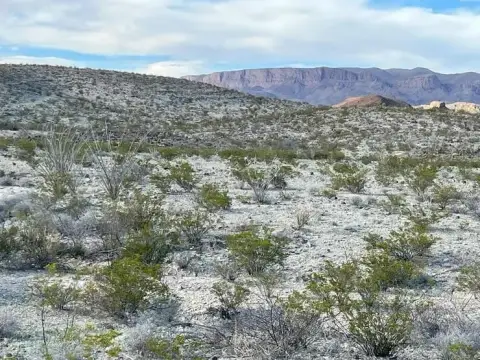 Recreation Land with Mountain Views
