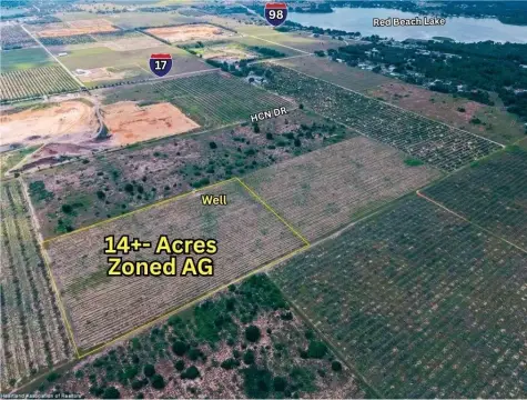 Agricultural Land with Pine Plantation