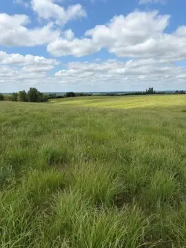 Recreational Farmland Tract