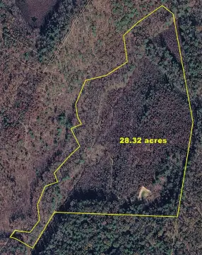 28.32 Acres in Buena Vista