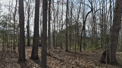 Residential Land with Mountain Views