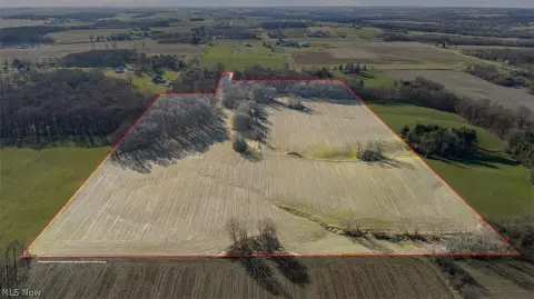 Productive Farmland with Wooded Acreage