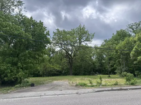Residential Lot in Johnson City