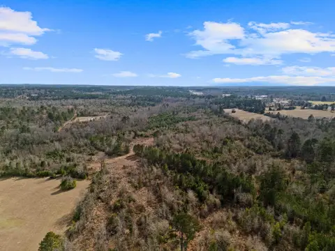 Wooded Hunting Land