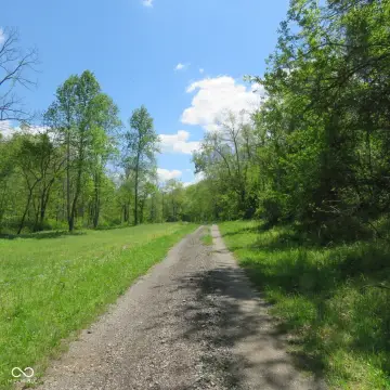 Expansive Wilderness Farm Opportunity