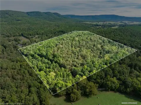 Wooded Hunting Land