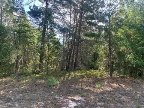 Interlachen Land For Sale