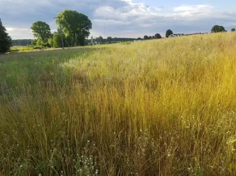 Land in Chelsea, Michigan