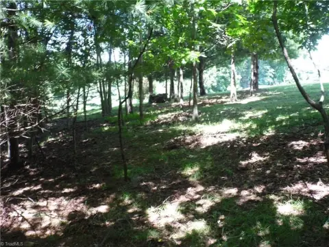 Residential Land in Hickory Mountain