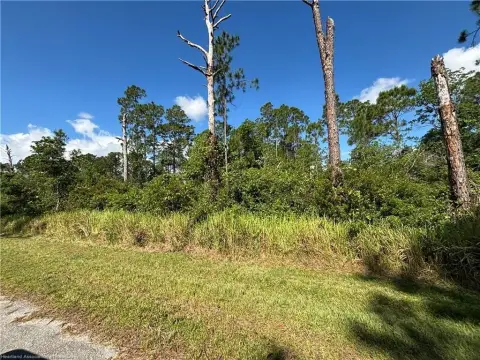 Residential Lot in Sebring, FL