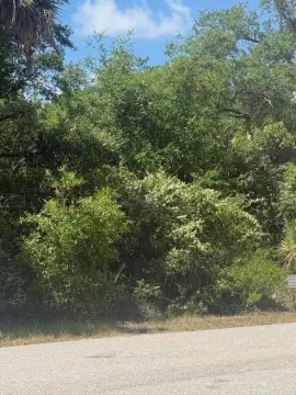 Port Charlotte Homesite Opportunity