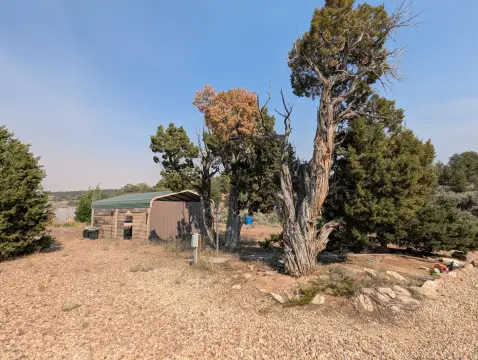 Agricultural Land Parcel