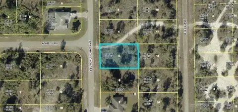 Residential Lot in Lehigh Acres