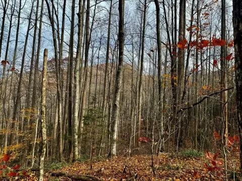 Unrestricted Mountain Property in Franklin, NC