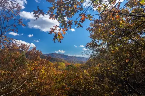 Residential Land in Franklin, NC
