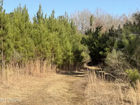 Recreational Hunting Land in Braxton