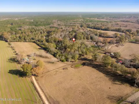22 Acres of Wooded Land