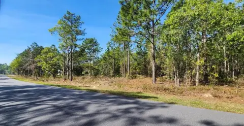 Homesite in Oak Hill Community