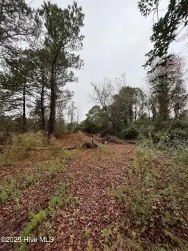 Residential Land in Beaufort, NC