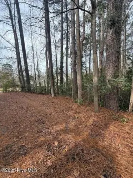 Wooded Lot with Pond Views