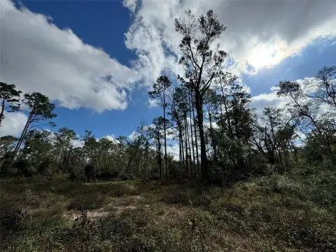 Land Near Suwannee River