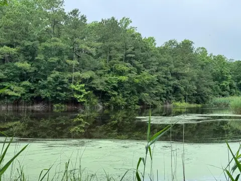 Waterfront Lot in Captain's Cove