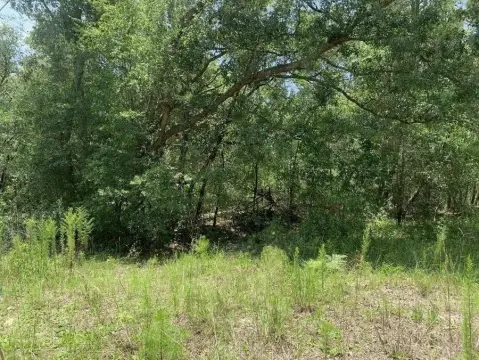 Satsuma, FL Land For Sale