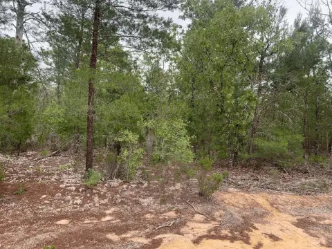 Land in Interlachen, Florida