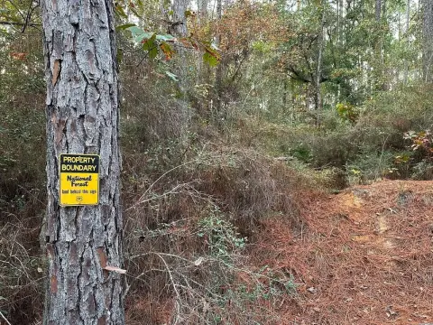 Hunting Land with Highway Access