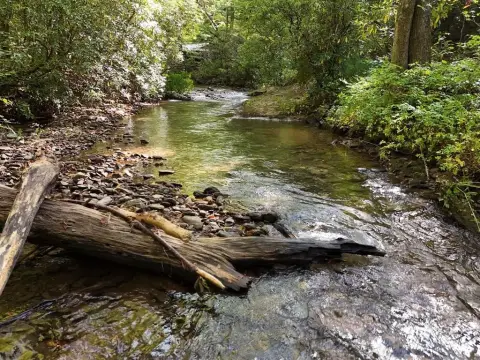 Unrestricted Waterfront Lot on Mill Creek