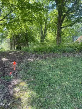 Jonesborough Land Opportunity on Main
