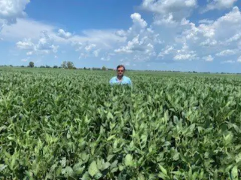 274 Acres of Row Crop Land