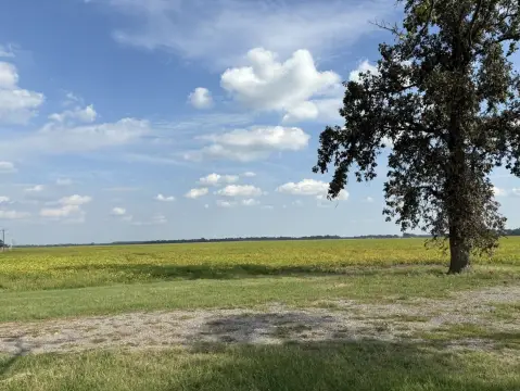 478 Acres Excellent Soybean Land