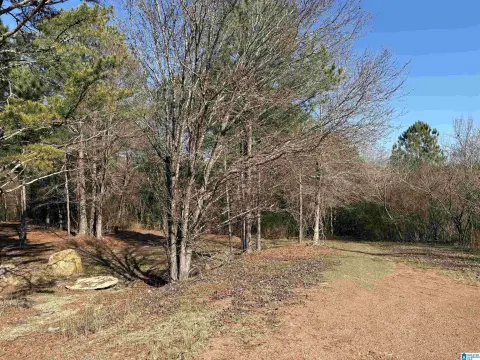Residential Lot in Birmingham, AL