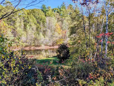 26 Acres Land with Pond