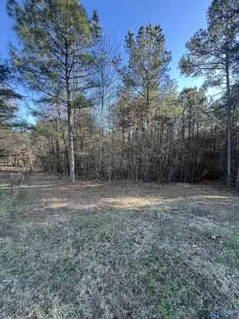 Land in Langston, Alabama