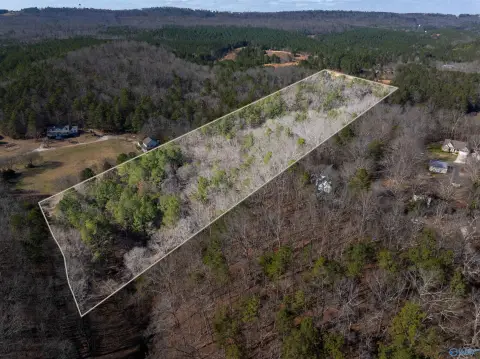 Fort Payne Wooded Acreage