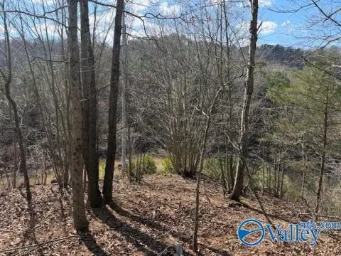 80 Acres Near Lake Guntersville