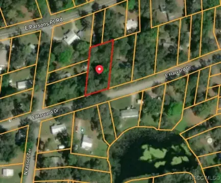 Wooded Lot Near Water Access