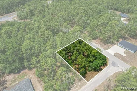 Citrus Springs Duplex Lot