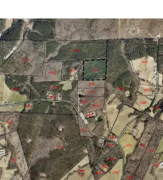 Wooded Residential Land