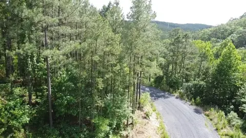 Wooded Mountain View Home Lot